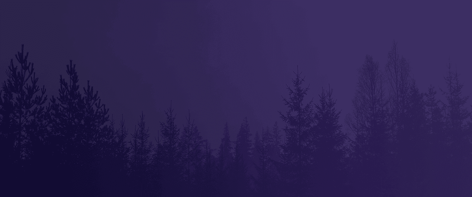 dark forest